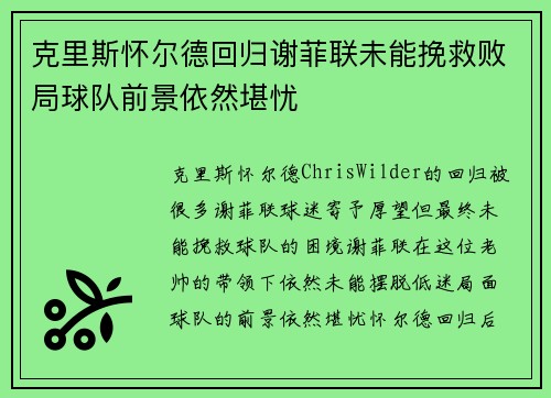 克里斯怀尔德回归谢菲联未能挽救败局球队前景依然堪忧
